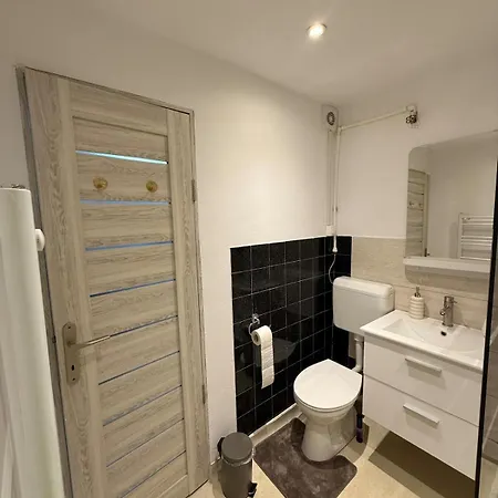 Cozy Apartment- Old Town Apartment Brașov